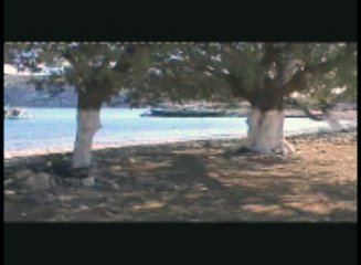 Steve McAndrew Dancing In Thew Bow Wave Video Image